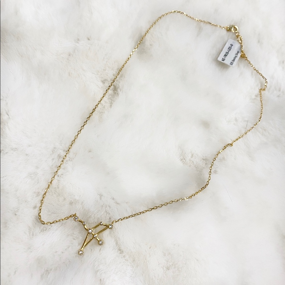 Leo Constellation Necklace